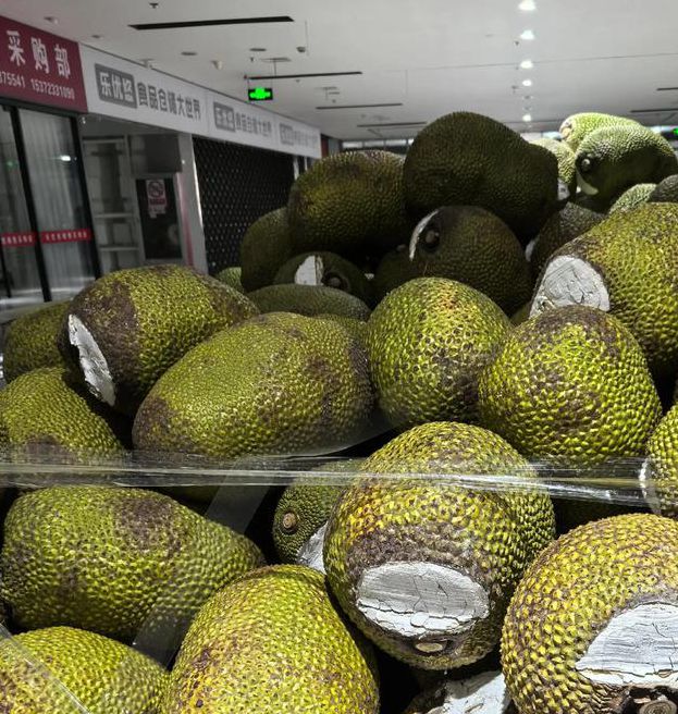 菠萝蜜app官网进口