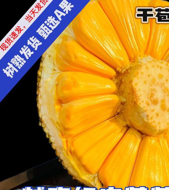 菠萝蜜app官网进口