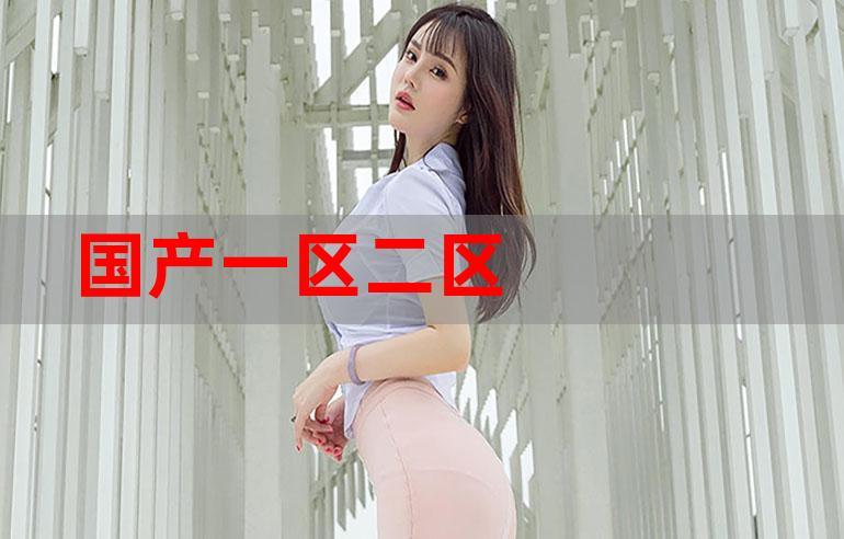 国产一区二区在线观看