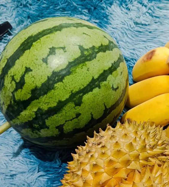 草莓香蕉绿巨人榴莲