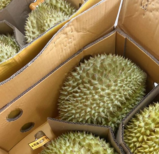 草莓香蕉绿巨人榴莲