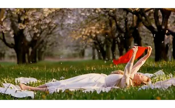 野花电影免费观看在线高清!