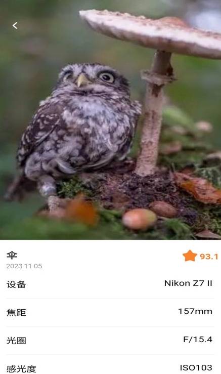 潮流秀