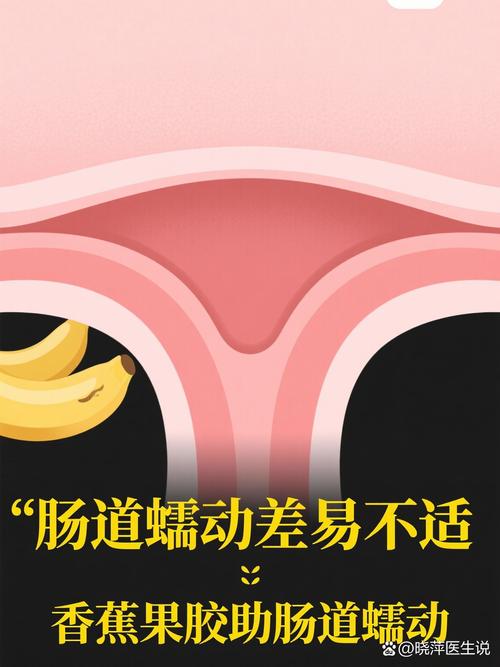 丝瓜草莓向日葵芭乐榴莲