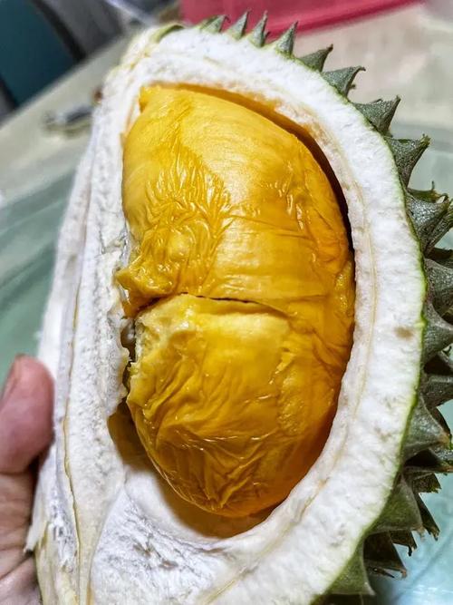 幸福宝草莓榴莲深夜释放自己