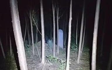 千度直播户外探险