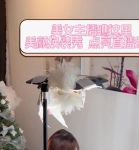 美眉直播间