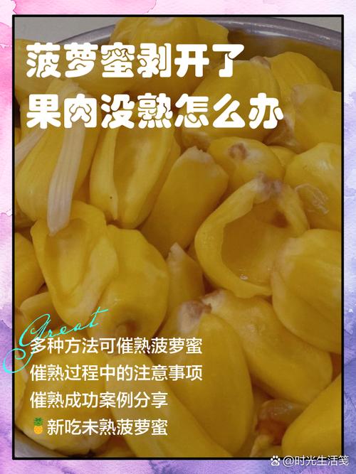 菠萝蜜不正经视频免费观看