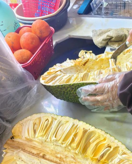 菠萝蜜不正经视频免费观看