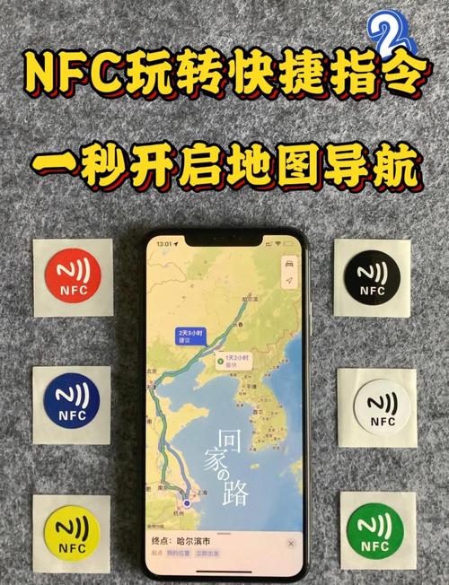大菠萝福建导航导入官方入口