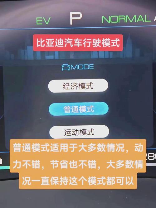 大菠萝福建导航污APP