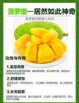 菠萝蜜国际一区麻豆精选