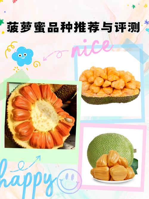 菠萝蜜国际一区麻豆精选