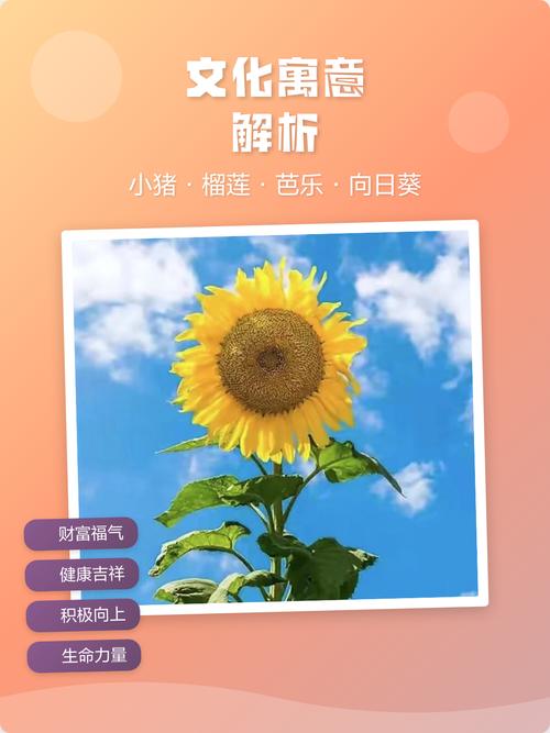 芭乐向日葵鸭脖小猪榴莲下载最新版