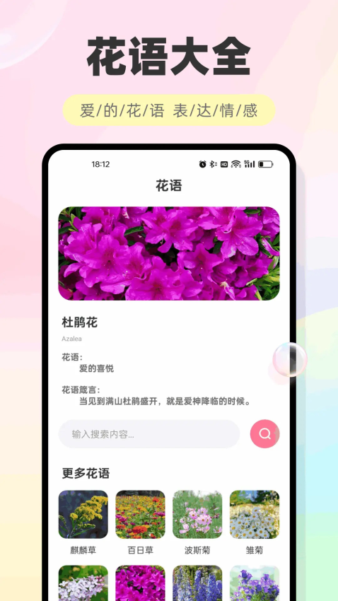 海鸥聊天老版本