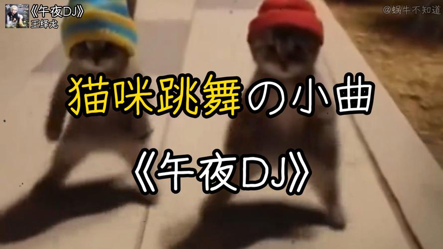 午夜dj视频1.0完整版