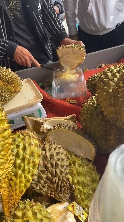 榴莲视频下载安装无限看丝瓜视频科普