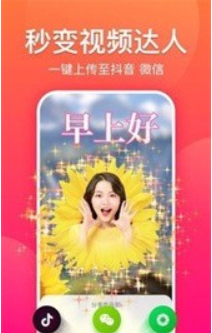 狼群社区视频