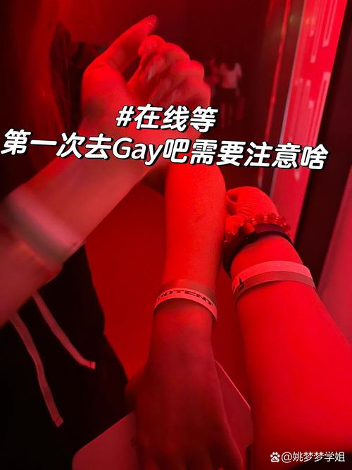 18gboy同志chinese视频