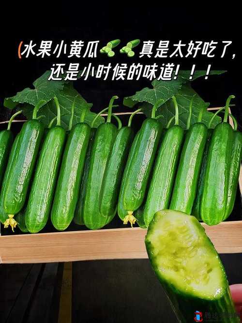 秋葵草莓香蕉樱桃黄瓜丝瓜榴莲免费
