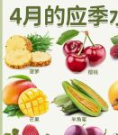 草莓苹果香蕉荔枝丝瓜大全