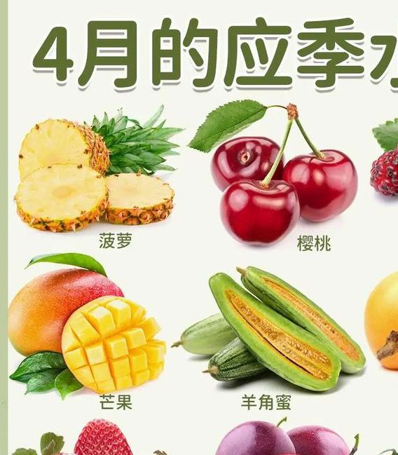 草莓苹果香蕉荔枝丝瓜大全