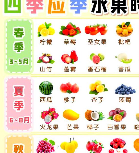 草莓苹果香蕉荔枝丝瓜大全
