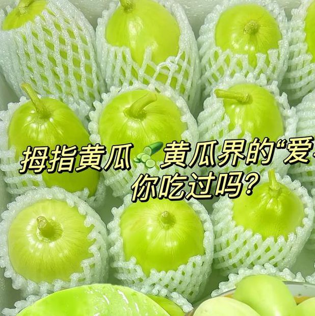 抖音樱桃丝瓜绿巨人黄瓜免费版最新