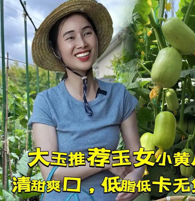 抖音樱桃丝瓜绿巨人黄瓜免费版最新