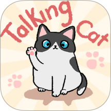 趣味找猫猫修改版