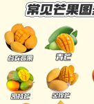芒果乱码一二三四区别