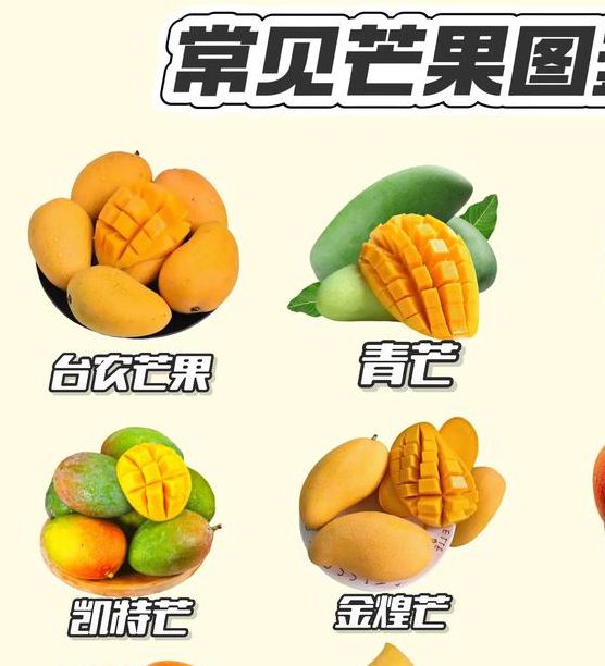 芒果乱码一二三四区别
