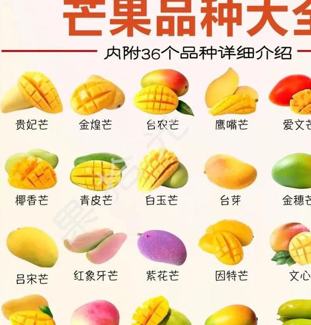 芒果乱码一二三四区别