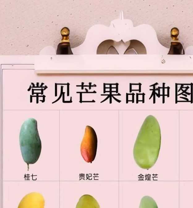芒果乱码一二三四区别