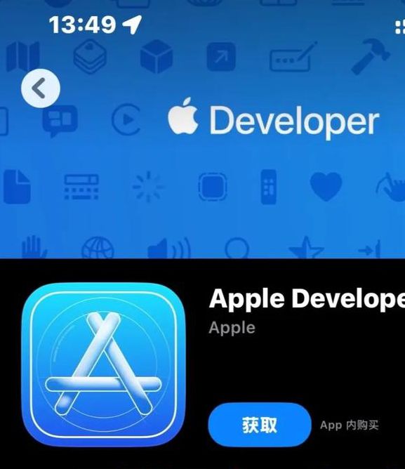 大菠萝富二代app