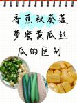 丝瓜黄瓜草莓向日葵秋葵蜜桃