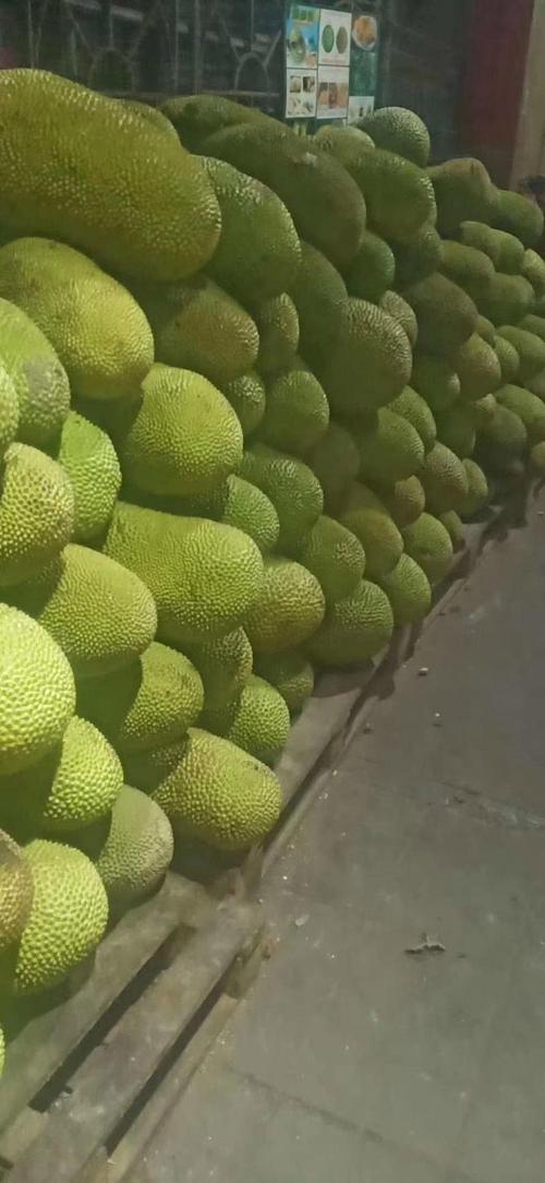 菠萝蜜国际二区