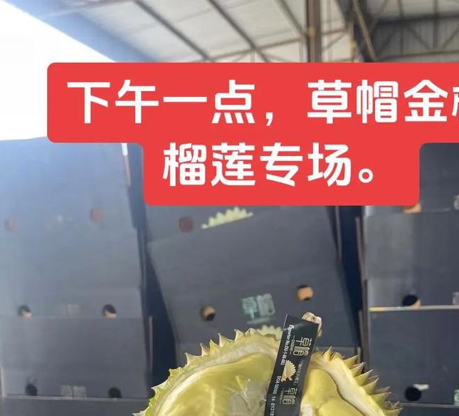 ll999榴莲让你流连忘返