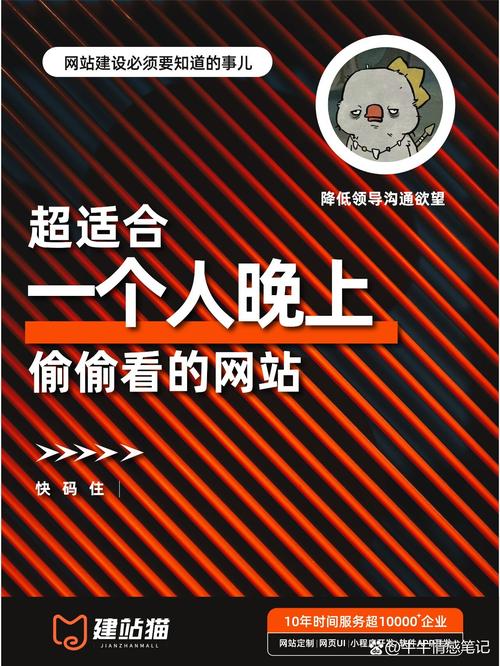 夜间正能量网站入口