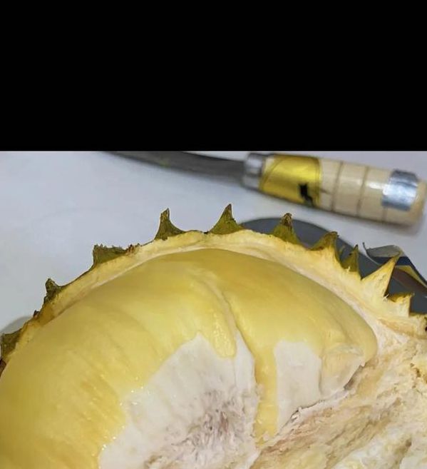 榴莲视频在线观看www