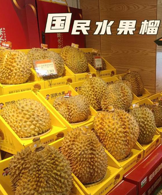 榴莲视频在线观看www