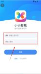小小影视在线看