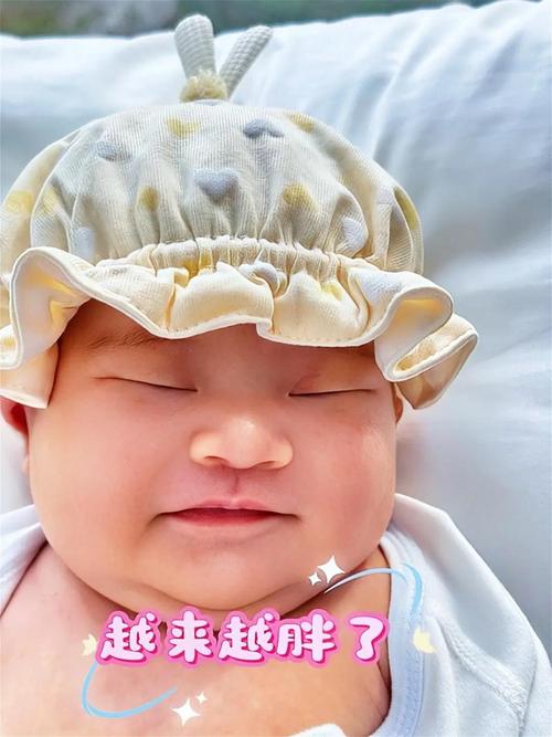 小蝌蚪下载app最新版大全