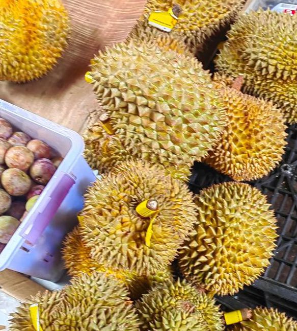 榴莲视频vip无数次苹果
