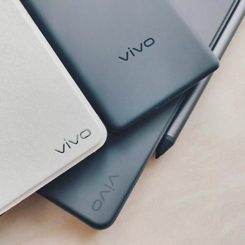 日本vivoestv