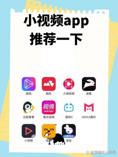 那个对那个的视频软件