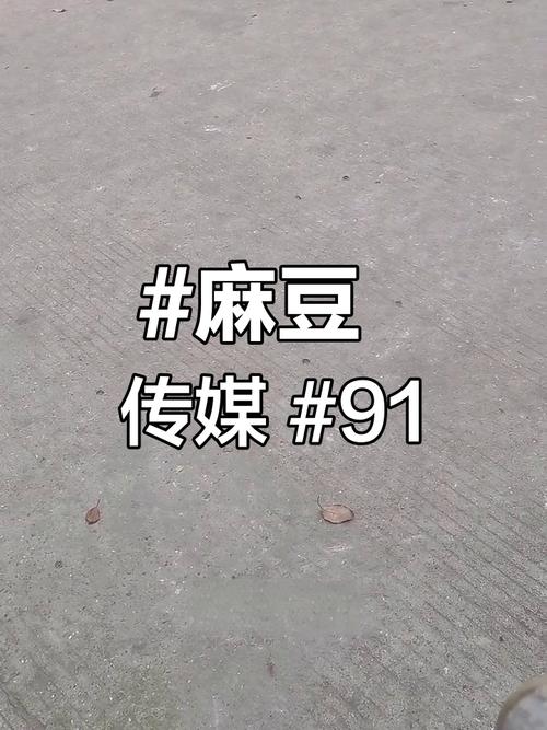 麻花豆传媒mv在线播放智库百科