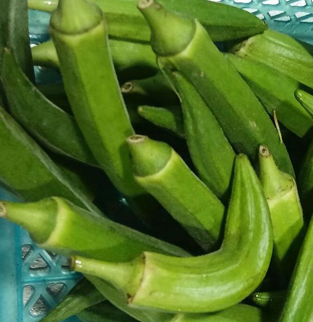 秋葵 茄子 丝瓜 绿巨人网站最新版