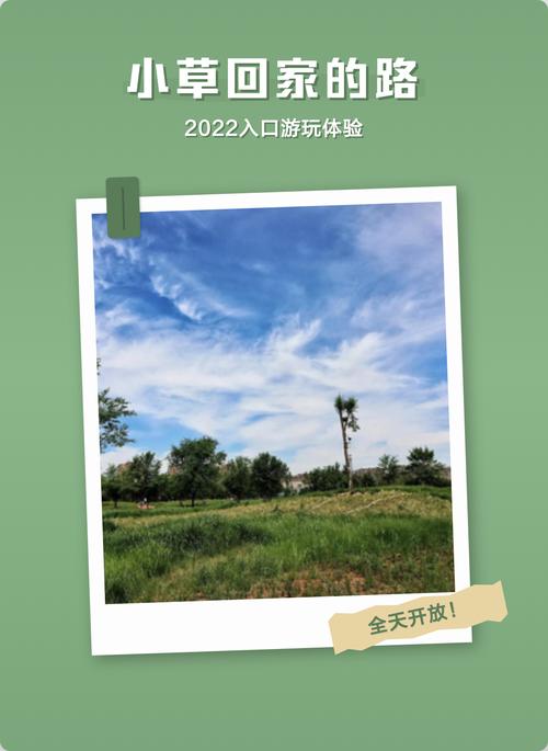 小草2020回家的路地址一