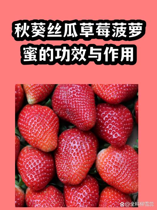 草莓秋葵菠萝蜜黄瓜丝瓜榴莲:推荐一个可以跟主播无限畅聊的app